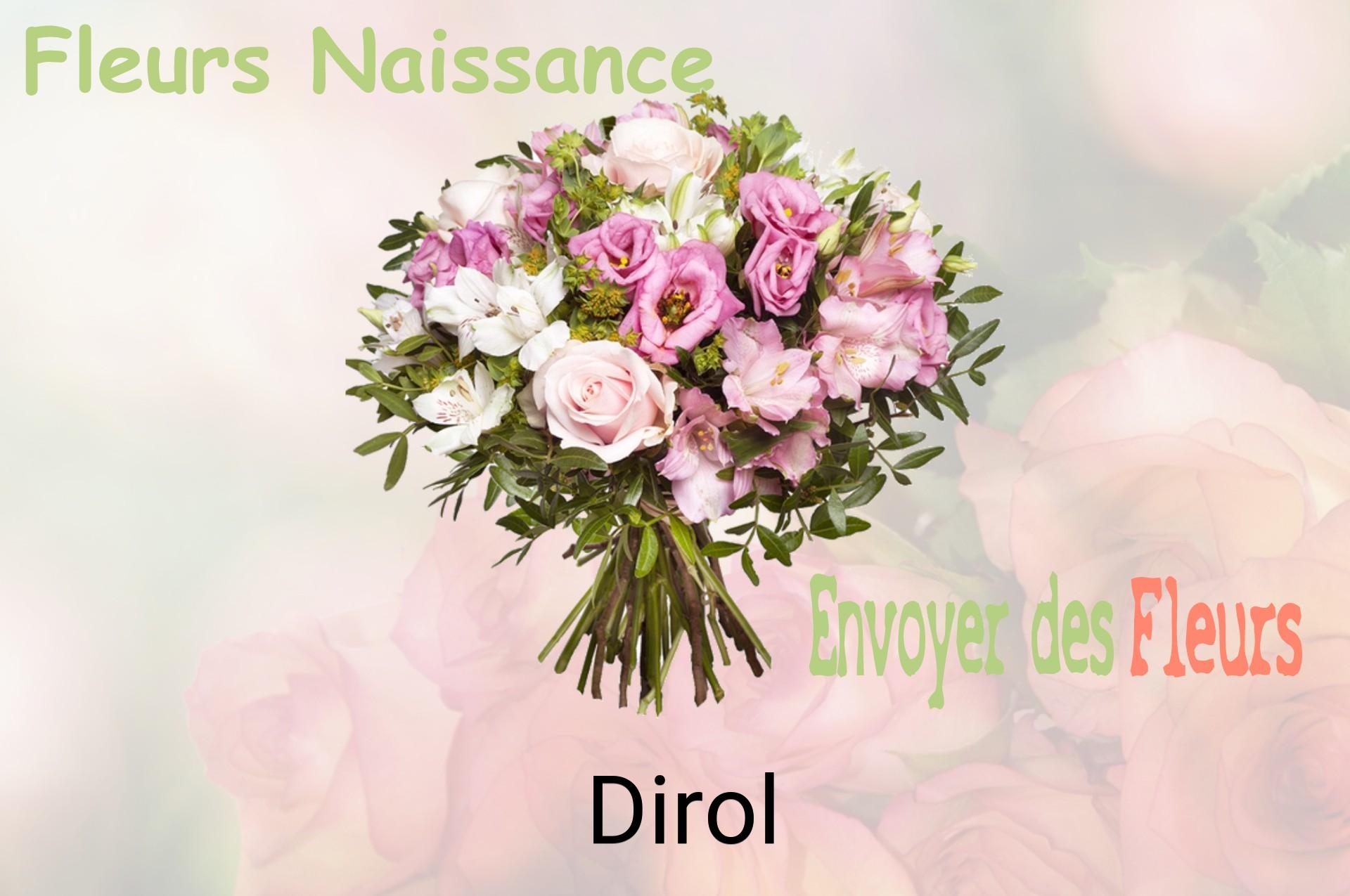Bouquet de fleurs de naissance livré à Dirol
